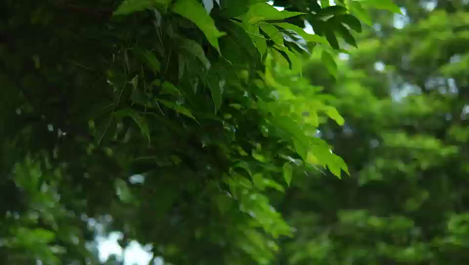 方程豹钛 3 × 十四黍爱露营